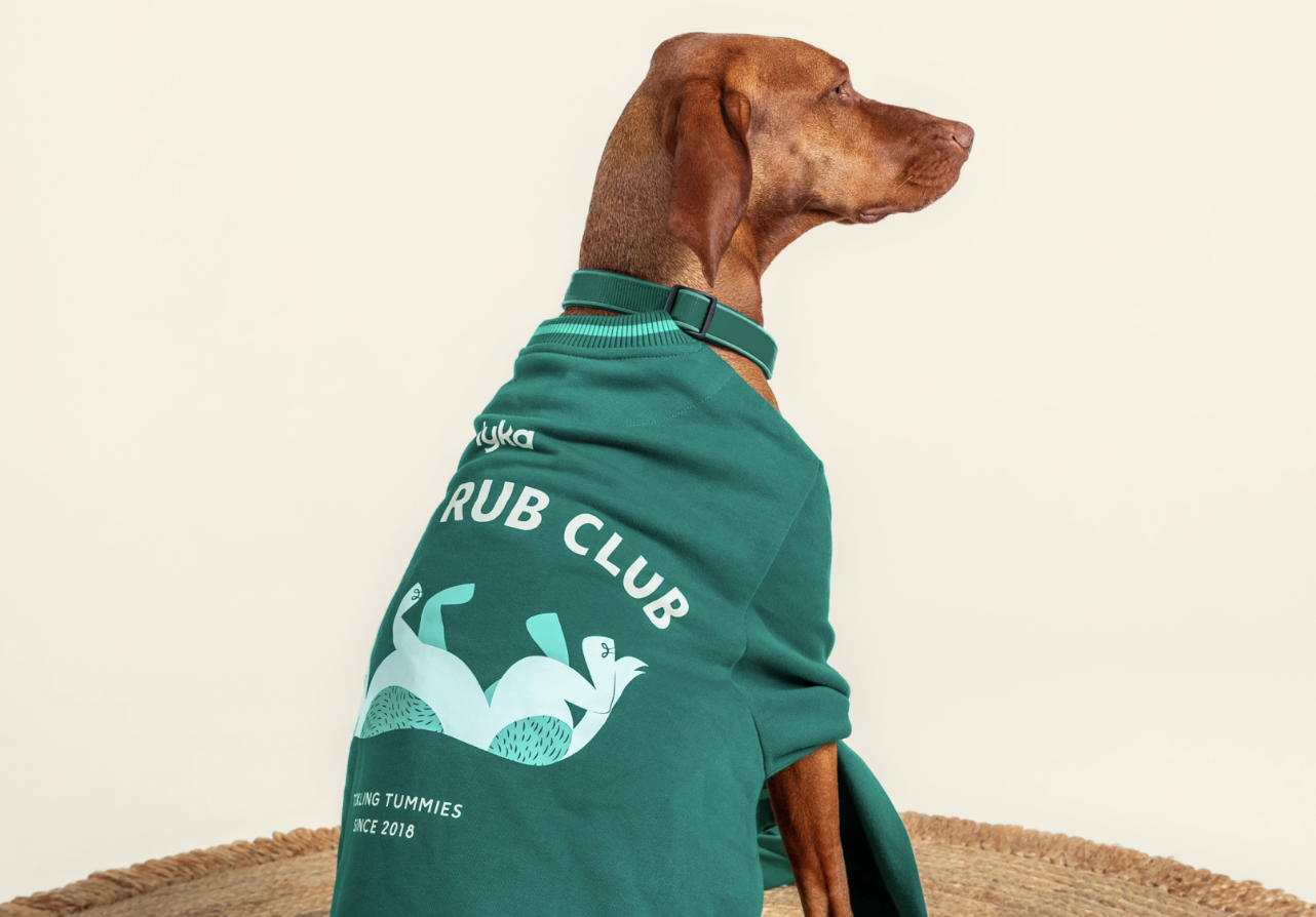 Dog wearing branded green bandana